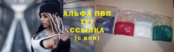 ГАЛЛЮЦИНОГЕННЫЕ ГРИБЫ Верея